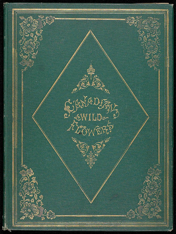 10/150 Agnes FitzGibbon’s Pioneer Wildflowers Canadian Art Junkie